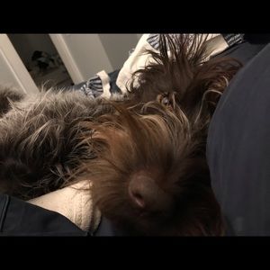 Meet your Posher, Liza